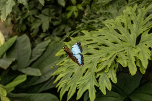 Nature