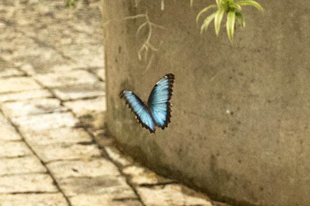 Nature